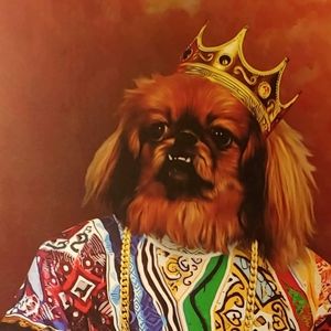 Meet your Posher, Kelly